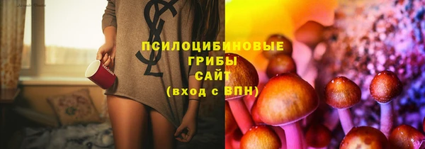 дурь Верея