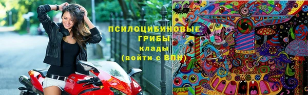 стаф Богородицк