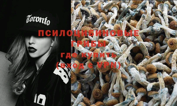 стаф Богородицк